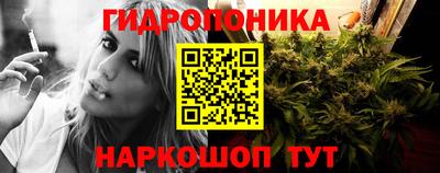 прущие грибы Балахна