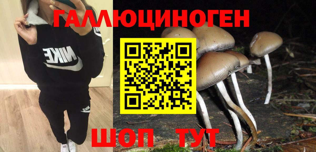 Псилоцибиновые грибы прущие грибы Белово