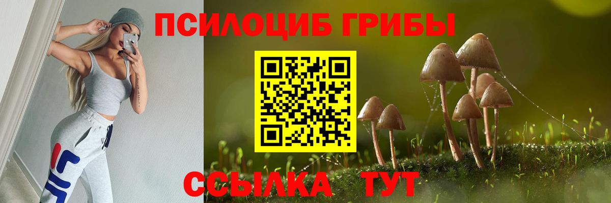 купить   Псилоцибиновые грибы Psilocybe  Псилоцибиновые грибы GOLDEN TEACHER  Вход с VPN  Белово 